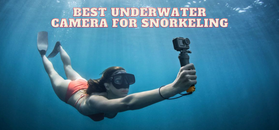 Best Camera for Snorkeling in 2023 (Reviewed by Snorkelers)