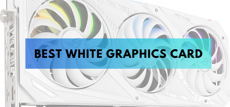 Looking for the best white GPU to add to your white gaming PC? Look no further; as of 2022, these are the best white graphics card on the market right now!